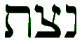 netzach